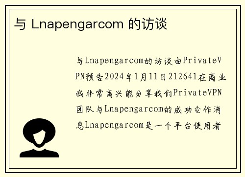 与 Lnapengarcom 的访谈