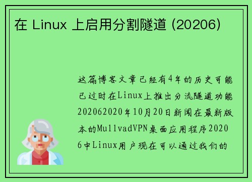 在 Linux 上启用分割隧道 (20206) 