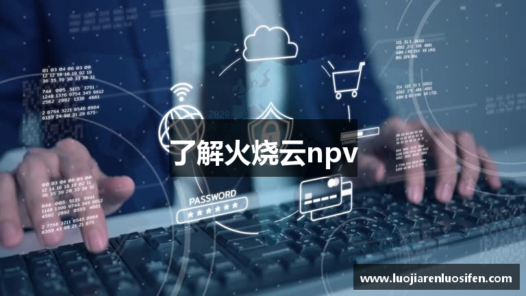 了解火烧云npv